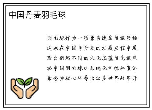 中国丹麦羽毛球